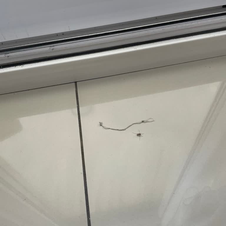 Roborock Revo Curv Modeli Tek Şarjda Beklenen Temizliği Sağlamıyor