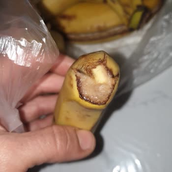 Muzlar Çürük, Su Yanlış Teslim Edildi Ve Müşteri Hizmetlerine Ulaşılamıyor