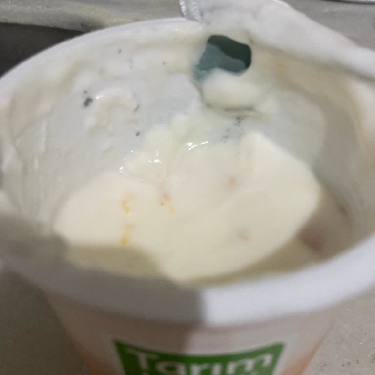 Meyveli Yoğurtta Küf Sorunu