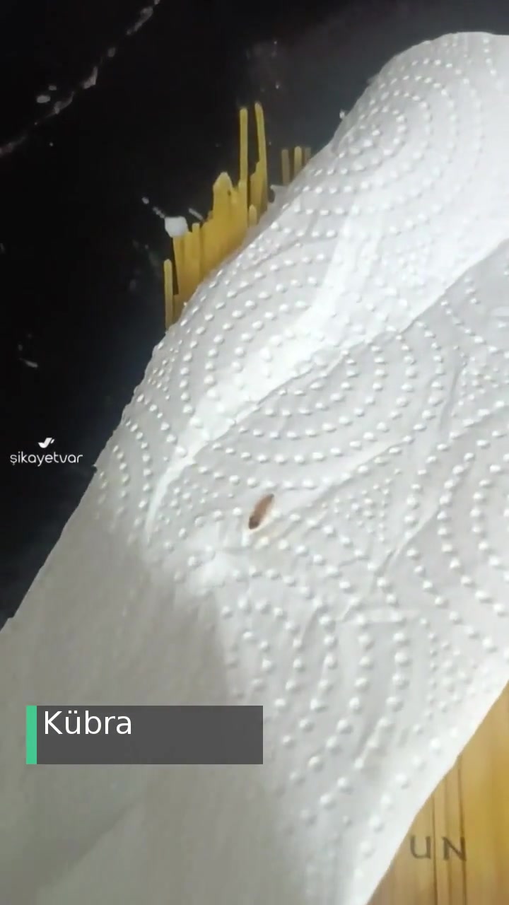 Nuh'un Ankara Makarnasından Çıkan! videonun kapak resmi