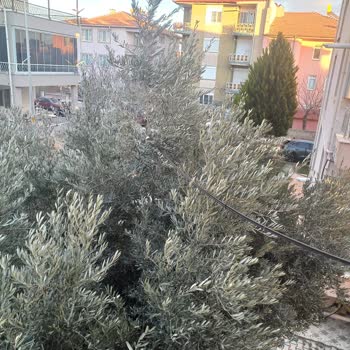 Kırılan Telekom Direği Nedeniyle İnternet Kesintisi Ve Araç Hasarı