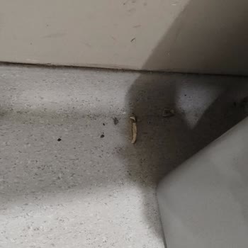 Kalp Ameliyatı Hastasının Oda Ve Tuvalet Temizliği İhmal Edildi