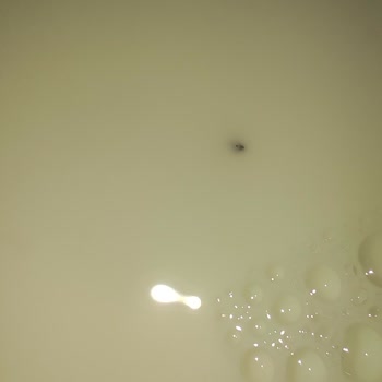 Kapanmayan Kapak Ve Siyah Noktalar İçeren Sütaş Sütü