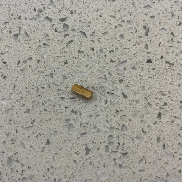 Fıstıklı Soğuk Baklavanın İçinden Çıkan Tahta Parçası Diş Ağrısına Ve Güvenlik Endişesine Yol Açtı