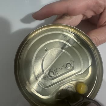 Superfresh Dondurulmuş Mısırda Kurt Bulundu: Sağlık Riski Ve İade Talebi