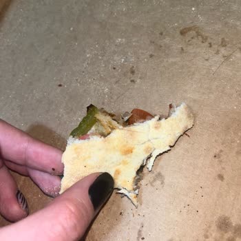 Domino’s Pizza’da Saç Teli Bulunması Nedeniyle Hijyen İhlali Ve Ücret İadesi Talebi