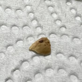 Kahve Dünyası Ürününün İçinde Antep Fıstığı Kabuğu Bulunması Kalite Kontrol Sorunu