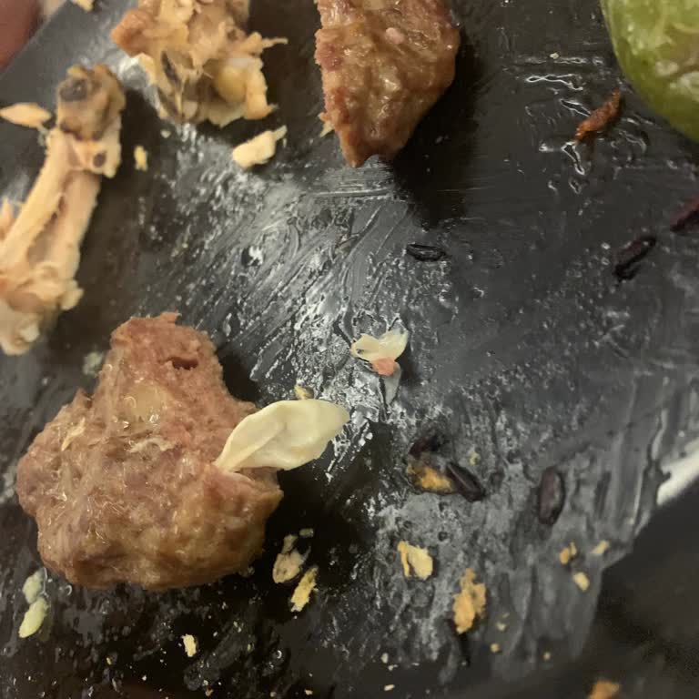 Köfte İçindeki Plastik Parça Misafirimin Boğazına Takıldı