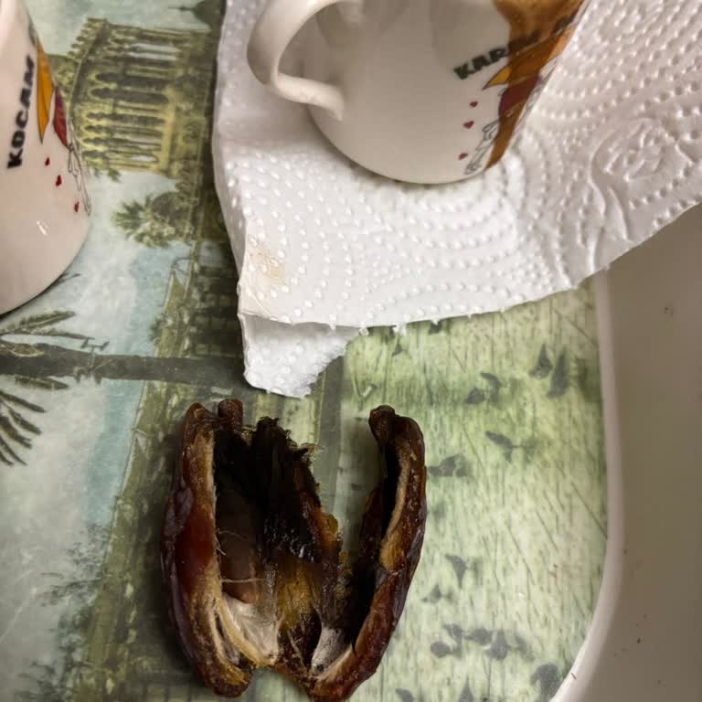 Hicret Kuruyemiş’te Bayat Kaju, Küflü Hurma Ve Kabuk Parçalı Fitil Ürünü Şikayeti