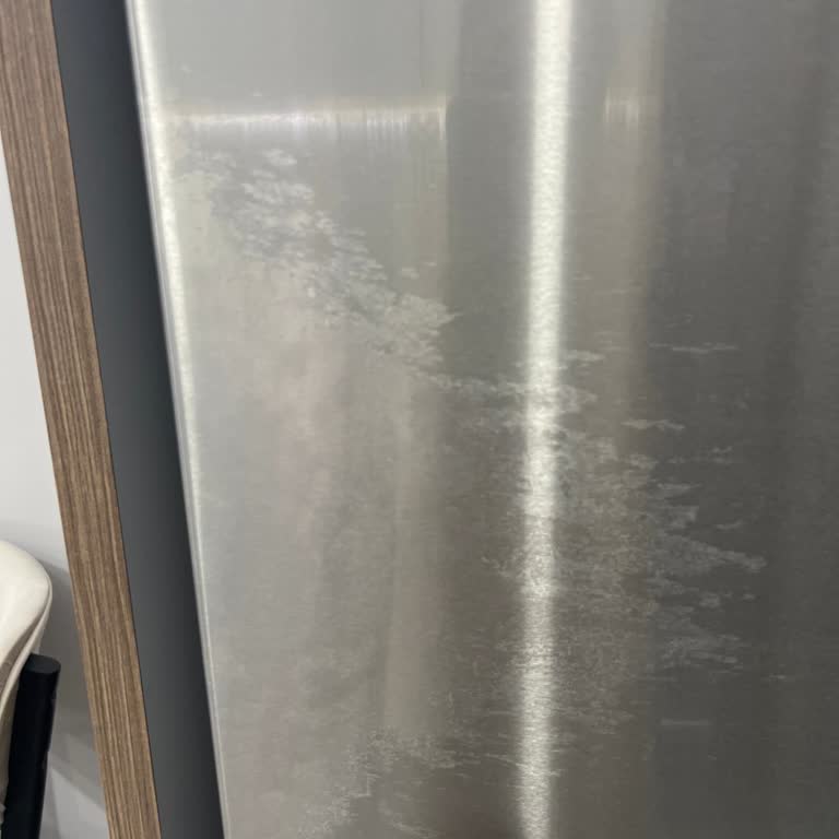 Bosch Buzdolabı Boya Akması