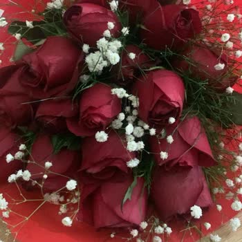 Siparişteki Gül Sayısı Eksik Teslim Edildi