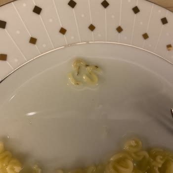 İndomie Noodle’da Siyah Parçalar: Hijyen Ve Sağlık Endişesi