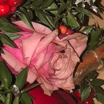 Yanlış Renk Ve Solmuş Çiçekler Nedeniyle Gecikmeli Ve Hatalı Teslimat