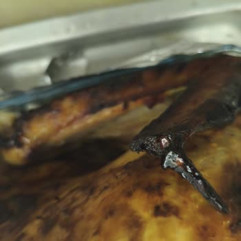 Yılbaşı Hindisinin Yanması Ve Kalitesiz Mezeler Nedeniyle İade Talebi