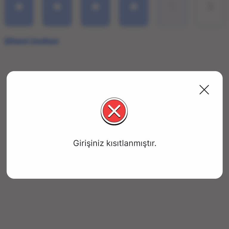Hesap Girişi Kısıtlandı Ve Kart Bilgileri İzinsiz Kaydedildi