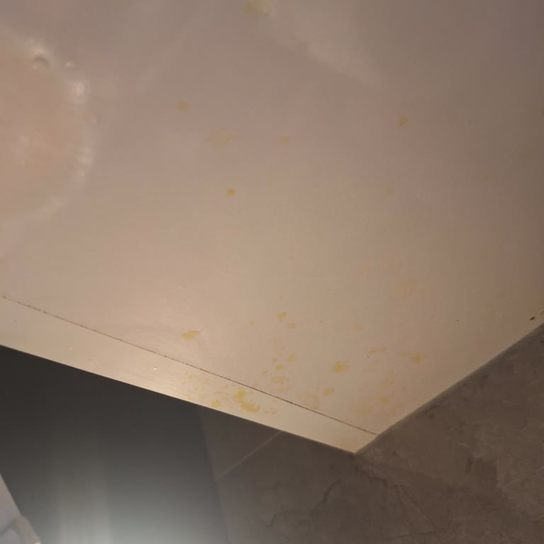 Armut Temizlikte Özensiz Çalışma Ve Müşteri Hizmetine Ulaşılamama