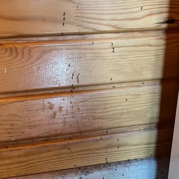 Jolly Tur Ve Sapanca Grand Wooden Otel'de Ayıplı ve Tehlikeli Hizmet; İade Talebi