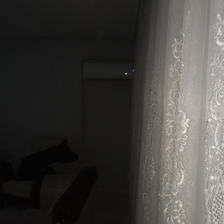 Daikin Yanlış Montaj Ve Su Sızıntısı Nedeniyle Konfor Bozukluğu Ve Haksız Servis Ücreti