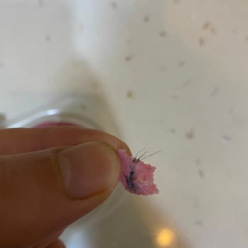 Maret Salamında Kıl Tespiti Üretim Hijyenini Sorguluyor