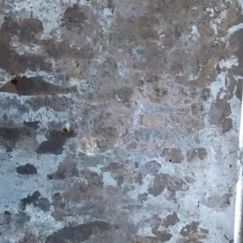 Fressi Home Paslanan Fırın Tepsisi Garanti Kapsamında Değiştirilmesi Talebi