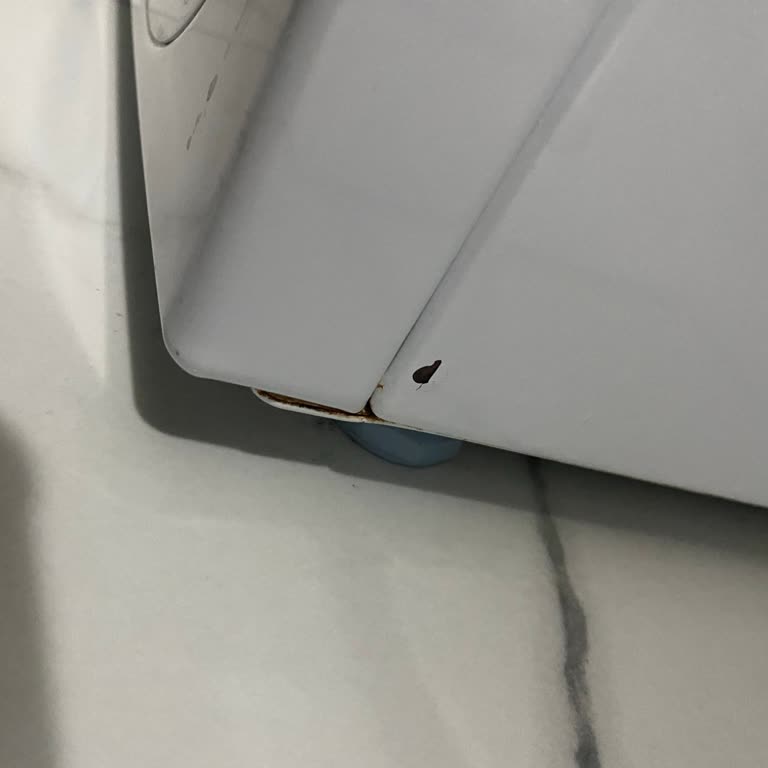 Bosch Çamaşır Makinesinde Erken Paslanma Sorunu Ve Garanti Talebi