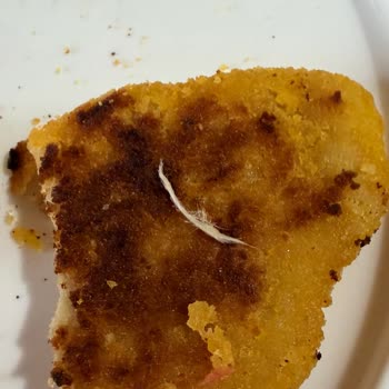 Metro Grossmarket Samsun Canik Satın Alınan Cordon Blue Ürünün İçinden Tavuk Tüyü Çıktı