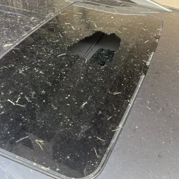 Neova Sigorta’nın Onay Gecikmesi Ve İkame Araç Haklarının Kısıtlanması