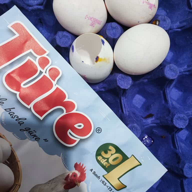 Kırık Ve Boş Yumurta Şikayeti Ve Telafi Talebi