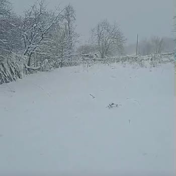 Kar Yağışı Sonrası Yol Kapalılığı Ve Sürekli Elektrik Kesintileri Mahalleyi Zor Duruma Sokuyor