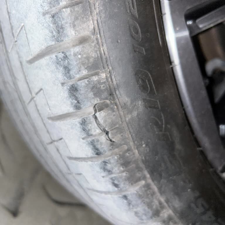 Araç Tesliminde Gecikme Ve Taşıma Sırasında Oluşan Hasarlar