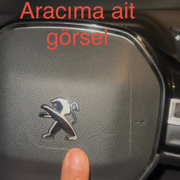 Peugeot Yanıltıcı Servis Raporu Ve Çözülmemiş Direksiyon Kutusu Arızası