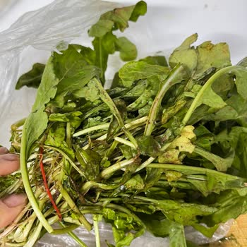 Getir Rokada Çürük Ürün Gönderimi ve Ücret İadesi Talebi