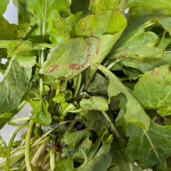 Getir Rokada Çürük Ürün Gönderimi ve Ücret İadesi Talebi