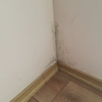 Ona 222 Sitesinde Yalıtım Ve Küf Sorunları