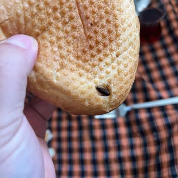 Adana Sarıçam BİM Mağazasında Satılan Ekmekte Hamam Böceği Görüldü