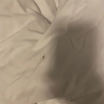 Ayıplı Tur Ve Ek Masraflar Nedeniyle İade Talebi