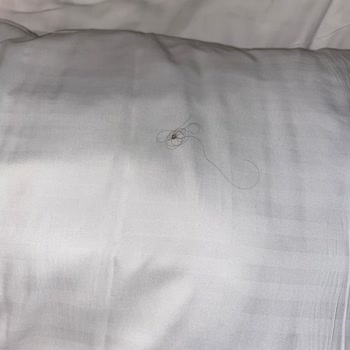 Ayıplı Tur Ve Ek Masraflar Nedeniyle İade Talebi