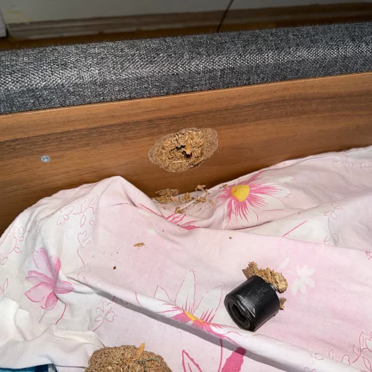 Baza Ve Gardırop Kalite Sorunları