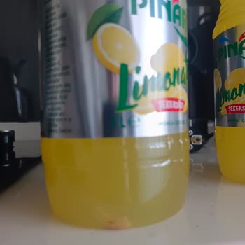 Şişelerinde Yabancı Parça Bulunan Pınar Limonata İçin Ücret İadesi Talebi