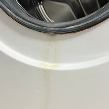 Bosch Çamaşır Makinesinde Su Sızıntısı Ve Küflenme İle Kaba Servis Davranışı!