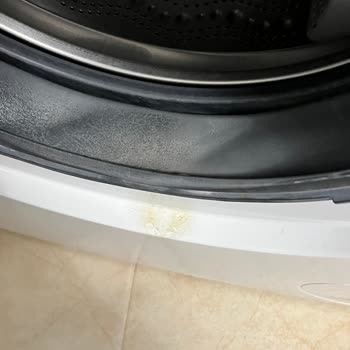 Bosch Çamaşır Makinesinde Su Sızıntısı Ve Küflenme İle Kaba Servis Davranışı!