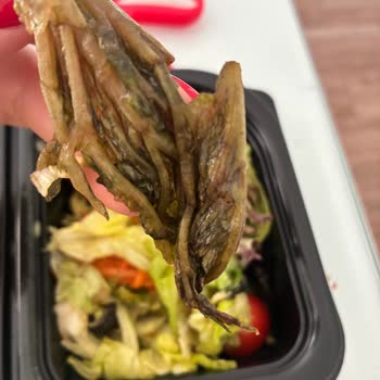 Bozuk Tavuk Ve Salata, Müşteri Hizmetine Ulaşamama Nedeniyle Tam İade Talebi