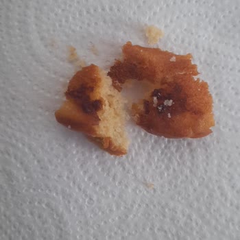 Torku Favorimo Meyveli Kekte Tehlikeli Siyah Reçel Kıvamındaki Madde