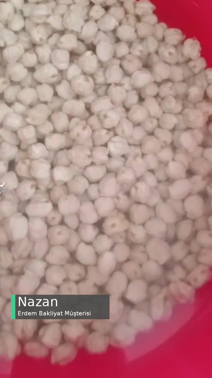 Erdem Nohut Üzerinde Yüzen Böcekler videonun kapak resmi