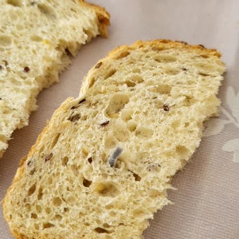 Uno Ekmek İçinde Plastik Bir Parça İle Karşılaştım