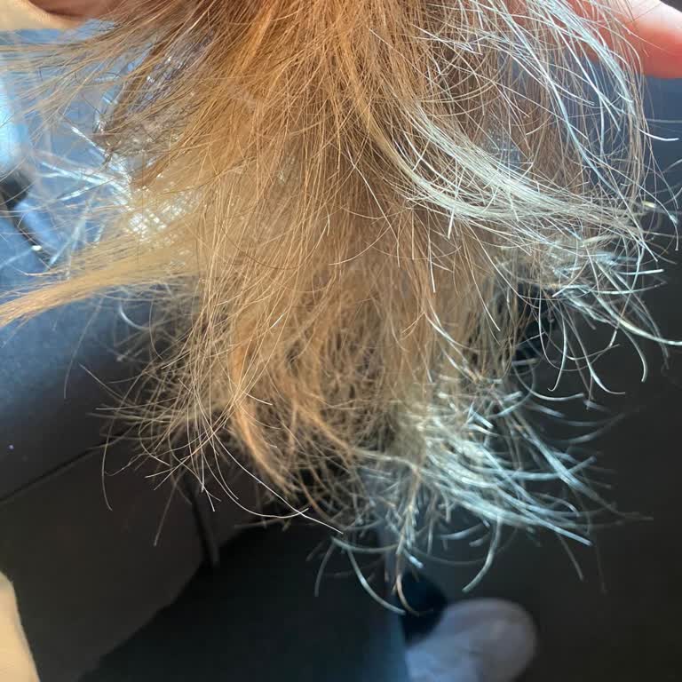 L’Oréal Absolut Repair Oil Burned My Hair After One Use