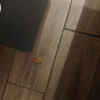 Pişmemiş Tavuk Ve Saygısız Garson Tutumundan Şikayetçi Müşteri