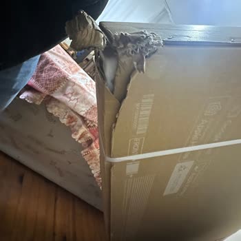 Hasarlı Kutu Ve Geciken Yanıt Nedeniyle Televizyon Değişimi Talebi