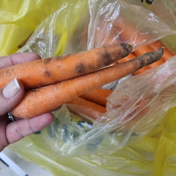 Şok Marketler Sürekli Eksik Ve Kalitesiz Ürün Gönderimleri, Mağaza Yönetiminin Yetersizliği!