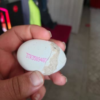 BIM Şubesinde Kırık Yumurta İçine Başka Kırık Kabuk Yapıştırılması